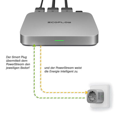 EcoFlow Smart Plug Stecker App-Steuerung für PowerStream